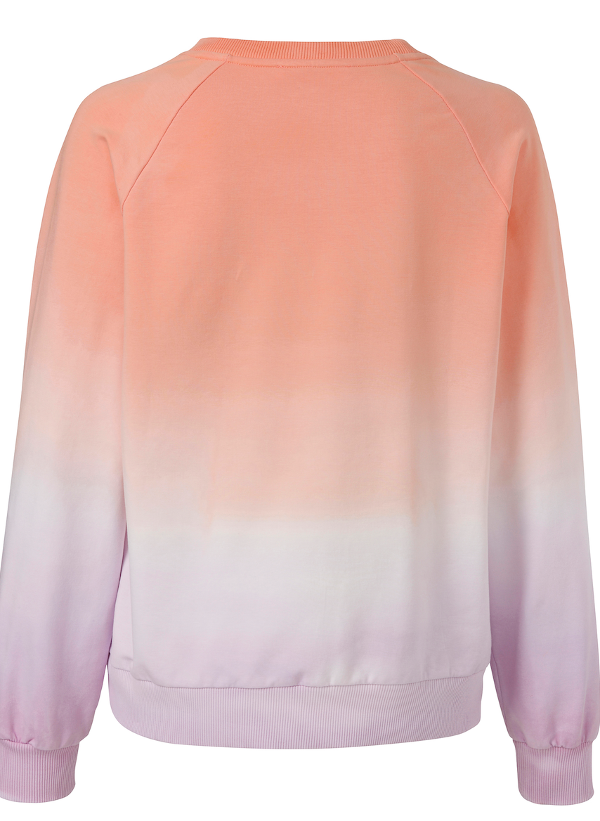 Eiszeit Sweater Print Ombré