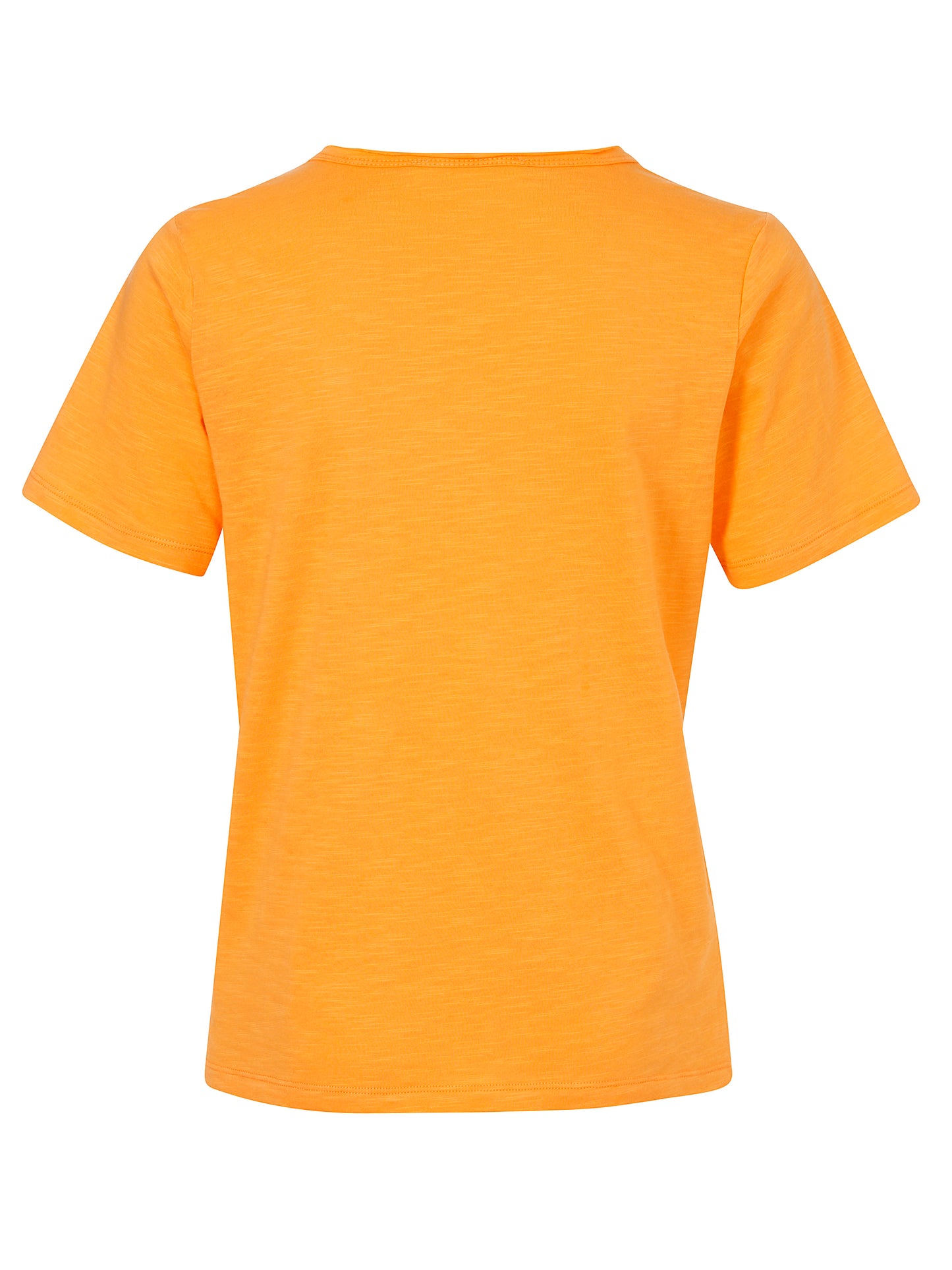 Eiszeit Tshirt Oranje