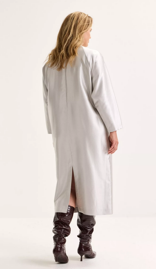 Améline Kleed Lang Zilver