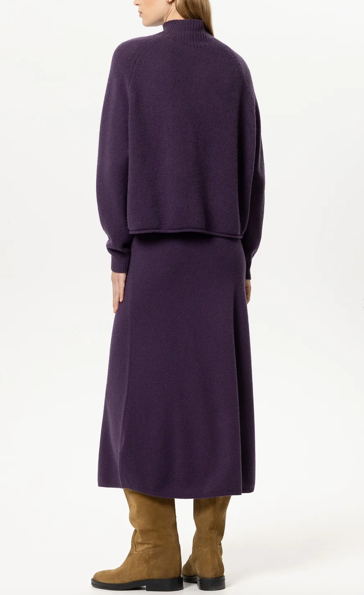 Luisa Cerano Pull Paars