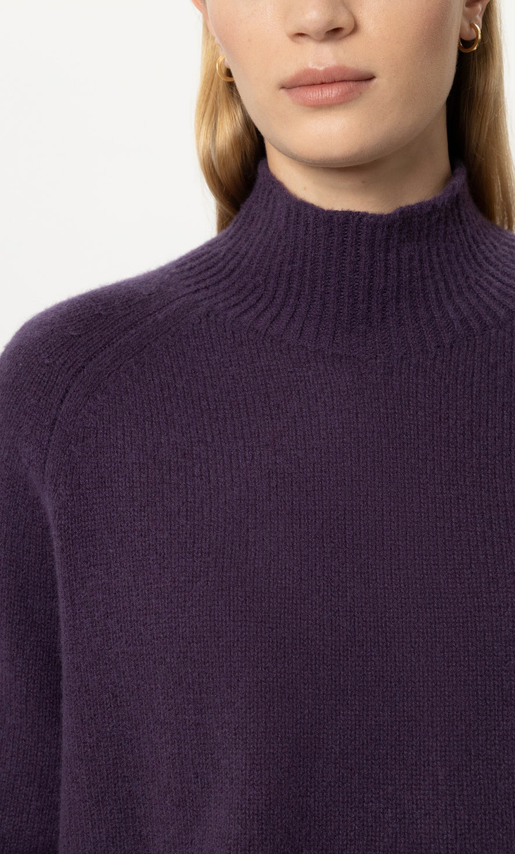 Luisa Cerano Pull Paars